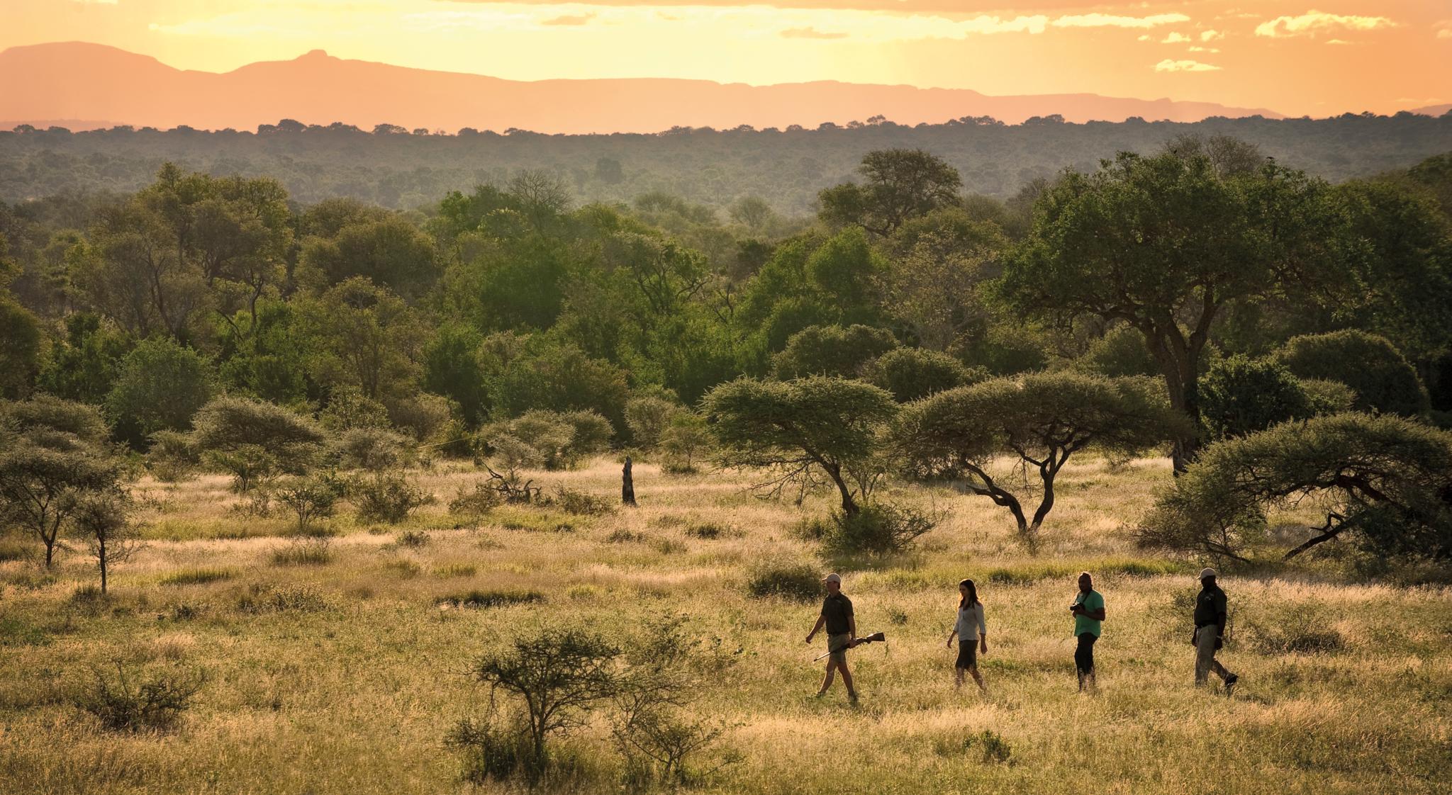 Lion Sands Tinga Lodge Skukuza Exterior photo